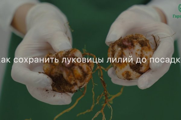 Купить наркотики онлайн
