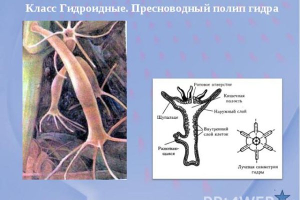 Ссылка на кракен свежая